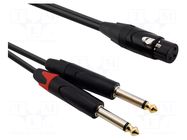 Cable; Jack 6,3mm plug x2,XLR female 3pin; 1m; black; PVC REDS MUSIC