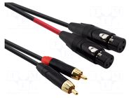 Cable; RCA plug x2,XLR female 3pin x2; 1m; black; PVC REDS MUSIC