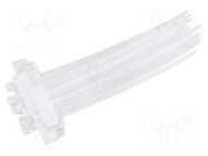 Cable tie; with label; L: 100mm; W: 2.5mm; natural; polyamide LOGILINK