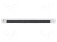 Protection panel; 1U; Standard: 19" LANBERG
