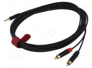 Cable; Jack 3.5mm plug,RCA plug x2; 5m; black; PVC REDS MUSIC