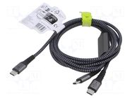 Cable; USB 2.0; USB C plug,USB C plug x2; 1.5m; black,silver; PVC GOOBAY