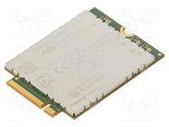 Module: LTE; 4G; Down: 600Mbps; Up: 150Mbps; M.2; HSPA+,LTE CAT12 SIERRA WIRELESS