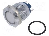 Indicator: LED; flat; white; 12VDC; 12VAC; Ø19mm; connectors; brass NINIGI