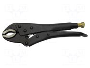 Pliers; Morse's,welding,locking; 250mm PROLINE