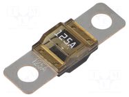 Fuse: fuse; 125A; 32÷72VDC; automotive; 41mm GLOSO