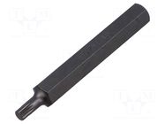 Screwdriver bit; spline (12-angles); XZN M5; 1/4" BETA