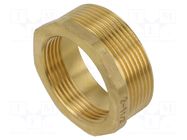Splice terminal: adapter; male-female,reductive; brass CW617N GEBO