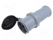 Connector: AC supply 3-phase; IP&S; 63A; 500VAC; plug; female; IP44 AMPHENOL