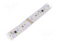 LED tape; white neutral; 2835; LED/m: 240; 20mm; white PCB; IP20 IPIXEL LED