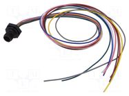Connector: M12; socket; male; 2A; 30V; PIN: 8; IP67; straight; cables LUTRONIC
