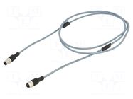 Cable: for sensors/automation; PIN: 4; 2m; plug; 250VAC; 4A; 763; PVC BINDER