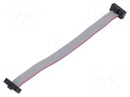 Ribbon cable with IDC connectors; IDC,both sides; 88.9mm; 3.5" SAMTEC