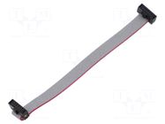 Ribbon cable with IDC connectors; IDC,both sides; 101.6mm; 4" SAMTEC