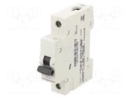 Circuit breaker; 230VAC; Inom: 25A; Poles: 1; Charact: C; 6kA; IP20 LEGRAND