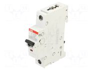 Circuit breaker; 230VAC; 220VDC; Inom: 32A; Poles: 1; Charact: C ABB