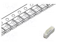 LED; blue; SMD; PLCC2; 150÷350mcd; 2.8÷3.6VDC; 3x1x1.25mm; 120° LUCKYLIGHT