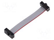 Ribbon cable with IDC connectors; IDC,both sides; 50.8mm; 2" SAMTEC