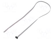 Ribbon cable with IDC connectors; IDC,wires; Tape ph: 0.64mm SAMTEC