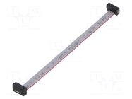 Ribbon cable with IDC connectors; IDC,both sides; 101.6mm; 4" SAMTEC