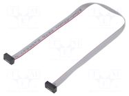 Ribbon cable with IDC connectors; IDC,both sides; 228.6mm; 9" SAMTEC