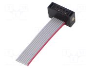 Ribbon cable with IDC connectors; IDC,wires; Tape ph: 0.64mm SAMTEC