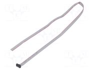 Ribbon cable with IDC connectors; IDC,wires; Tape ph: 0.64mm SAMTEC