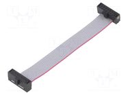 Ribbon cable with IDC connectors; IDC,both sides; 63.5mm; 2.5" SAMTEC