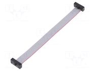 Ribbon cable with IDC connectors; IDC,both sides; 101.6mm; 4" SAMTEC