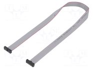 Ribbon cable with IDC connectors; IDC,both sides; 355.6mm; 14" SAMTEC