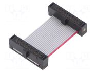Ribbon cable with IDC connectors; IDC,both sides; 25.4mm; 1" SAMTEC