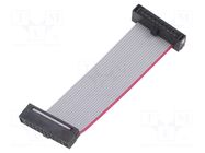 Ribbon cable with IDC connectors; IDC,both sides; 50.8mm; 2" SAMTEC