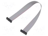 Ribbon cable with IDC connectors; IDC,both sides; 203.2mm; 8" SAMTEC