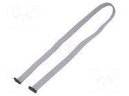 Ribbon cable with IDC connectors; IDC,both sides; 711.2mm; 28" SAMTEC