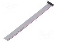 Ribbon cable with IDC connectors; IDC,wires; Tape ph: 0.64mm SAMTEC