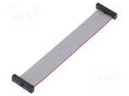 Ribbon cable with IDC connectors; IDC,both sides; 101.6mm; 4" SAMTEC
