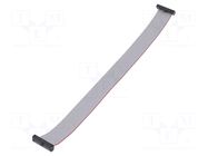 Ribbon cable with IDC connectors; IDC,both sides; 203.2mm; 8" SAMTEC