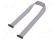 Ribbon cable with IDC connectors; IDC,both sides; 355.6mm; 14" SAMTEC
