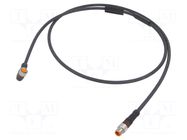 Cable: for sensors/automation; M8; PIN: 3; 1m; plug; 30VDC; 4A; IP67 LUMBERG AUTOMATION