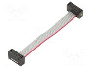 Ribbon cable with IDC connectors; IDC,both sides; 50.8mm; 2" SAMTEC