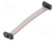 Ribbon cable with IDC connectors; IDC,both sides; 63.5mm; 2.5" SAMTEC