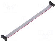 Ribbon cable with IDC connectors; IDC,both sides; 114.3mm; 4.5" SAMTEC