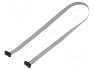 Ribbon cable with IDC connectors; IDC,both sides; 342.9mm SAMTEC