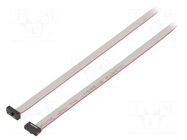 Ribbon cable with IDC connectors; IDC,both sides; 609.6mm; 24" SAMTEC