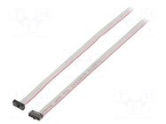 Ribbon cable with IDC connectors; IDC,both sides; 1016mm; 40" SAMTEC