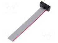 Ribbon cable with IDC connectors; IDC,wires; Tape ph: 0.64mm SAMTEC