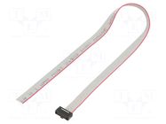 Ribbon cable with IDC connectors; IDC,wires; Tape ph: 0.64mm SAMTEC