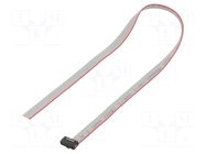 Ribbon cable with IDC connectors; IDC,wires; Tape ph: 0.64mm SAMTEC