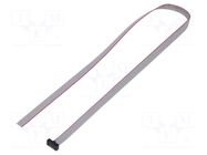 Ribbon cable with IDC connectors; IDC,wires; Tape ph: 0.64mm SAMTEC