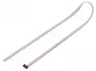 Ribbon cable with IDC connectors; IDC,wires; Tape ph: 0.64mm SAMTEC